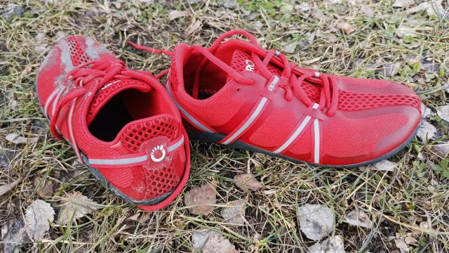 Xero Shoes Speed Force, recenzia