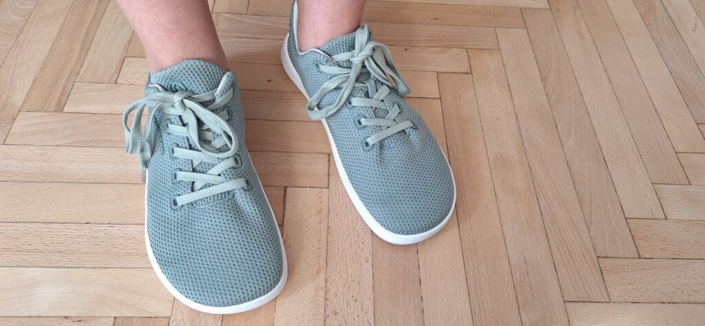 skinners_globetrotter_2