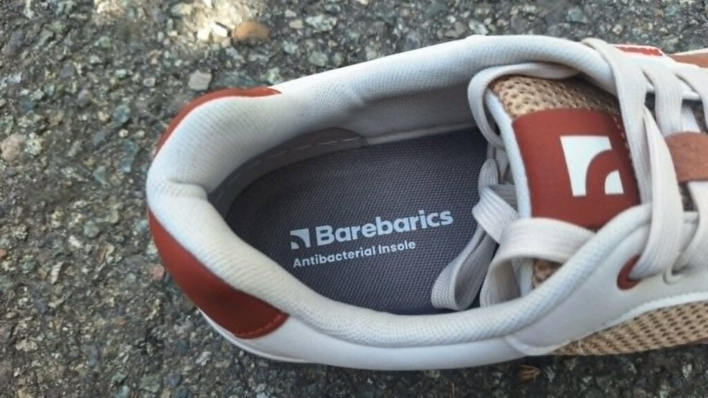 barebarics_zing_fresh